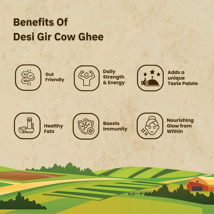 A2 Gir Cow Bilona Ghee — Hand-Churned, Grass-Fed, 100% Pure | Rajamudi Organics