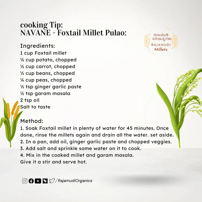 NAVANE - Foxtail Millet | Rajamudi Organics