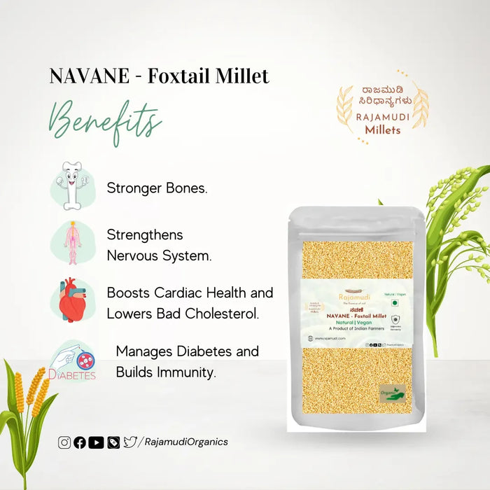 NAVANE - Foxtail Millet | Rajamudi Organics