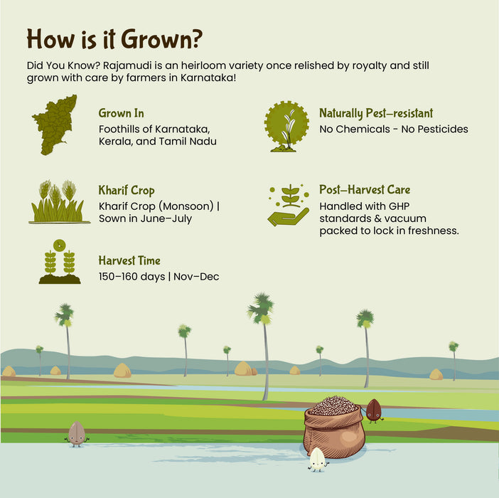 ORGANIC Kerala Red Rice [UnPolished] | Palakkad Matta Rice - Rajamudi Organics