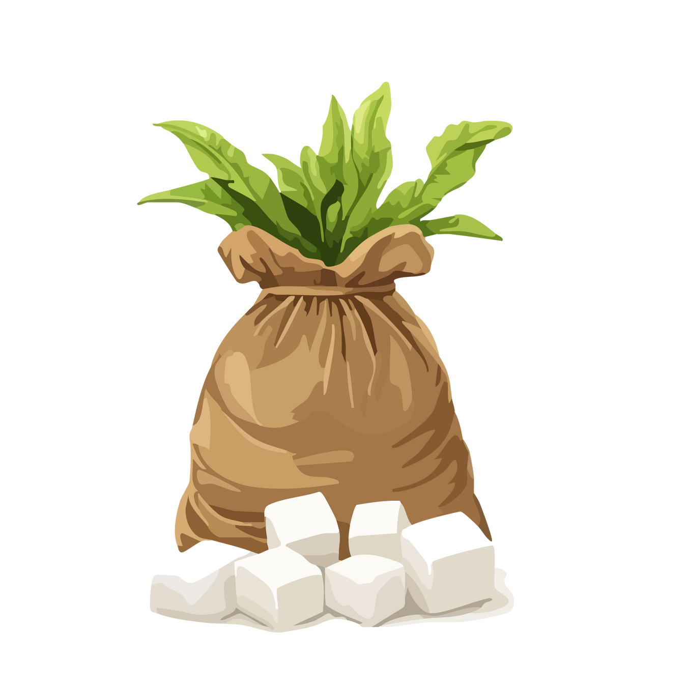 Organic Sweeteners