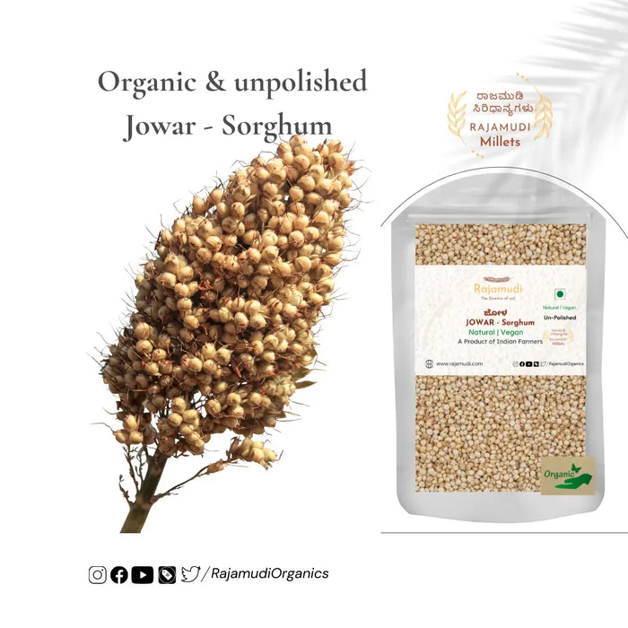 Organic Jowar - Sorghum - Rajamudi Millets